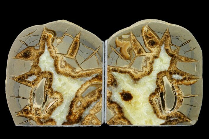 Calcite Filled Septarian Bookends - Utah #149909